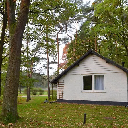 Serene In Limburg Amid A Forest *