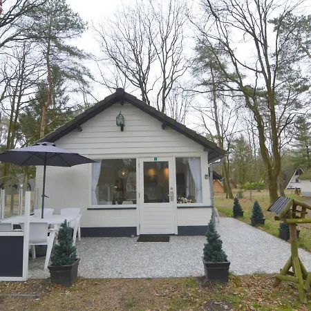 Holiday home Serene In Limburg Amid A Forest Stramproy